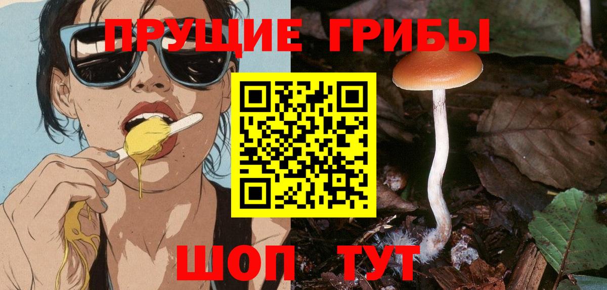Псилоцибиновые грибы Psilocybe  Вход с VPN  Щёлково 